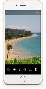 Picture of Focus One Design