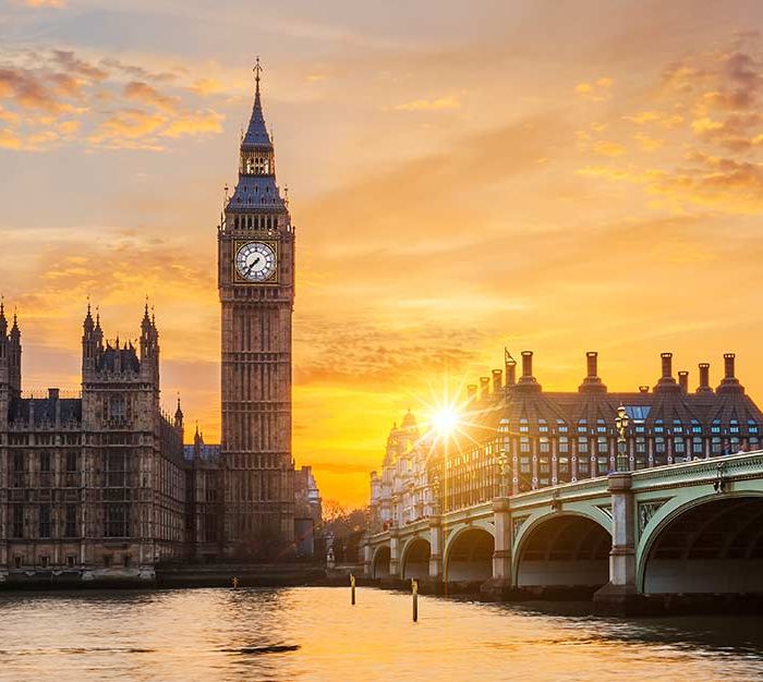 A Foodie’s Journey Across Borders (Demo)